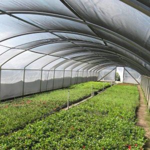 Greenhouse Screen